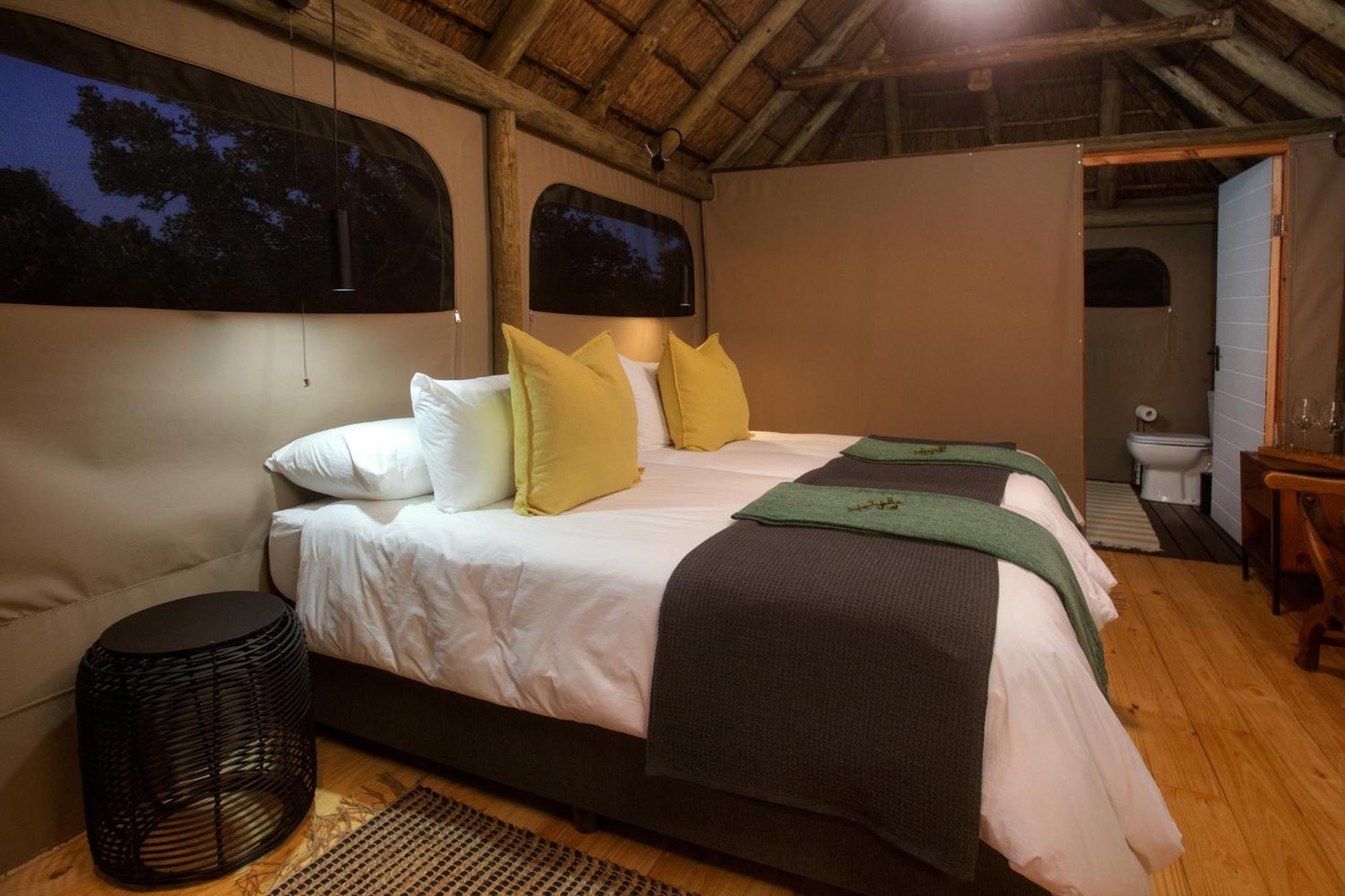 Addo Elephant Safari Lodge - Bellevue Forest Reserve Paterson Dış mekan fotoğraf