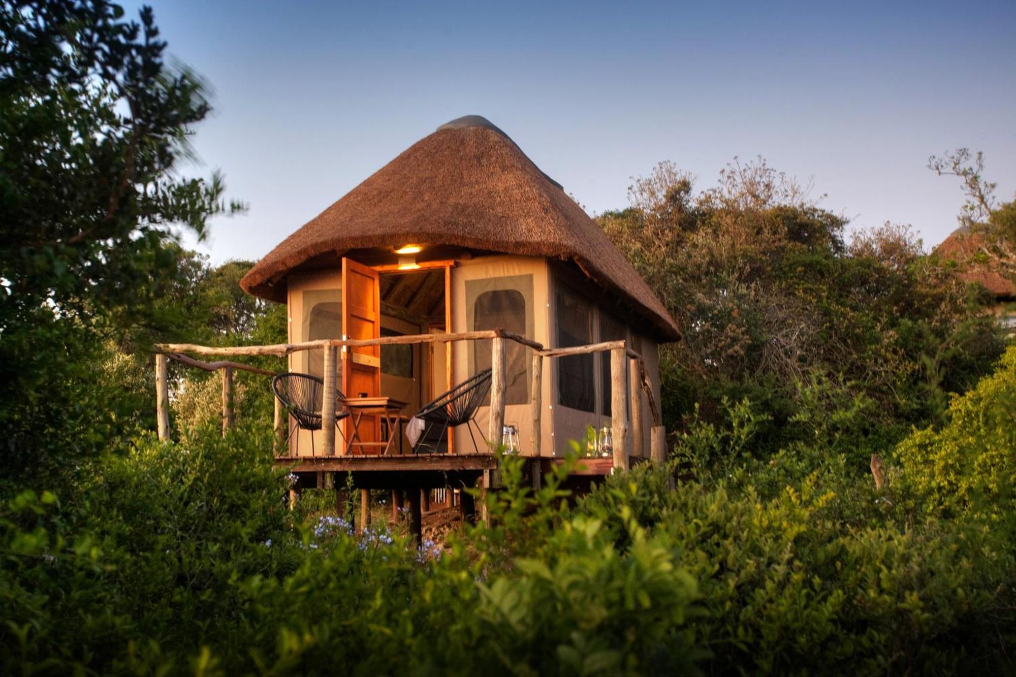 Addo Elephant Safari Lodge - Bellevue Forest Reserve Paterson Dış mekan fotoğraf