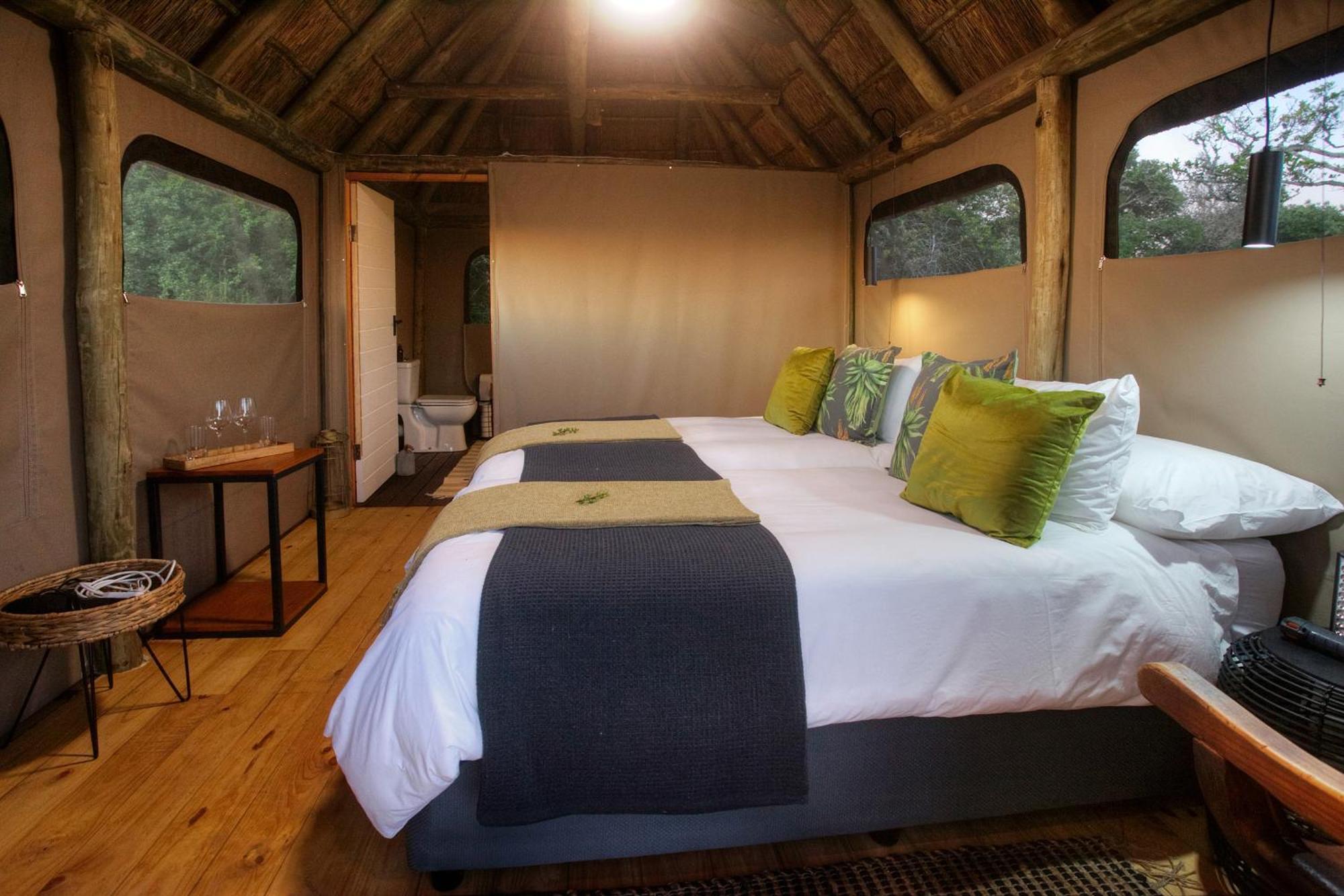 Addo Elephant Safari Lodge - Bellevue Forest Reserve Paterson Dış mekan fotoğraf