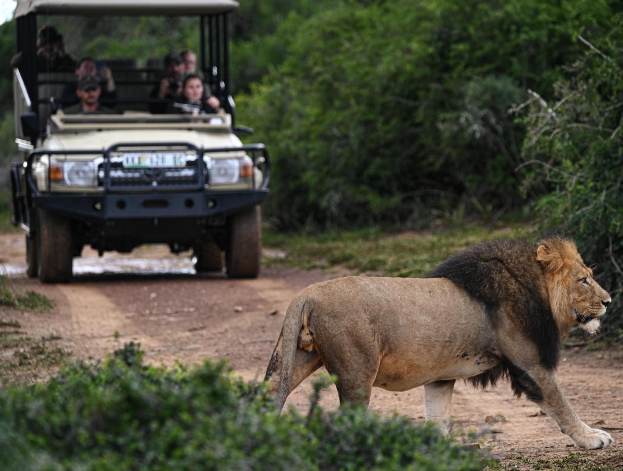Addo Elephant Safari Lodge - Bellevue Forest Reserve Paterson Dış mekan fotoğraf