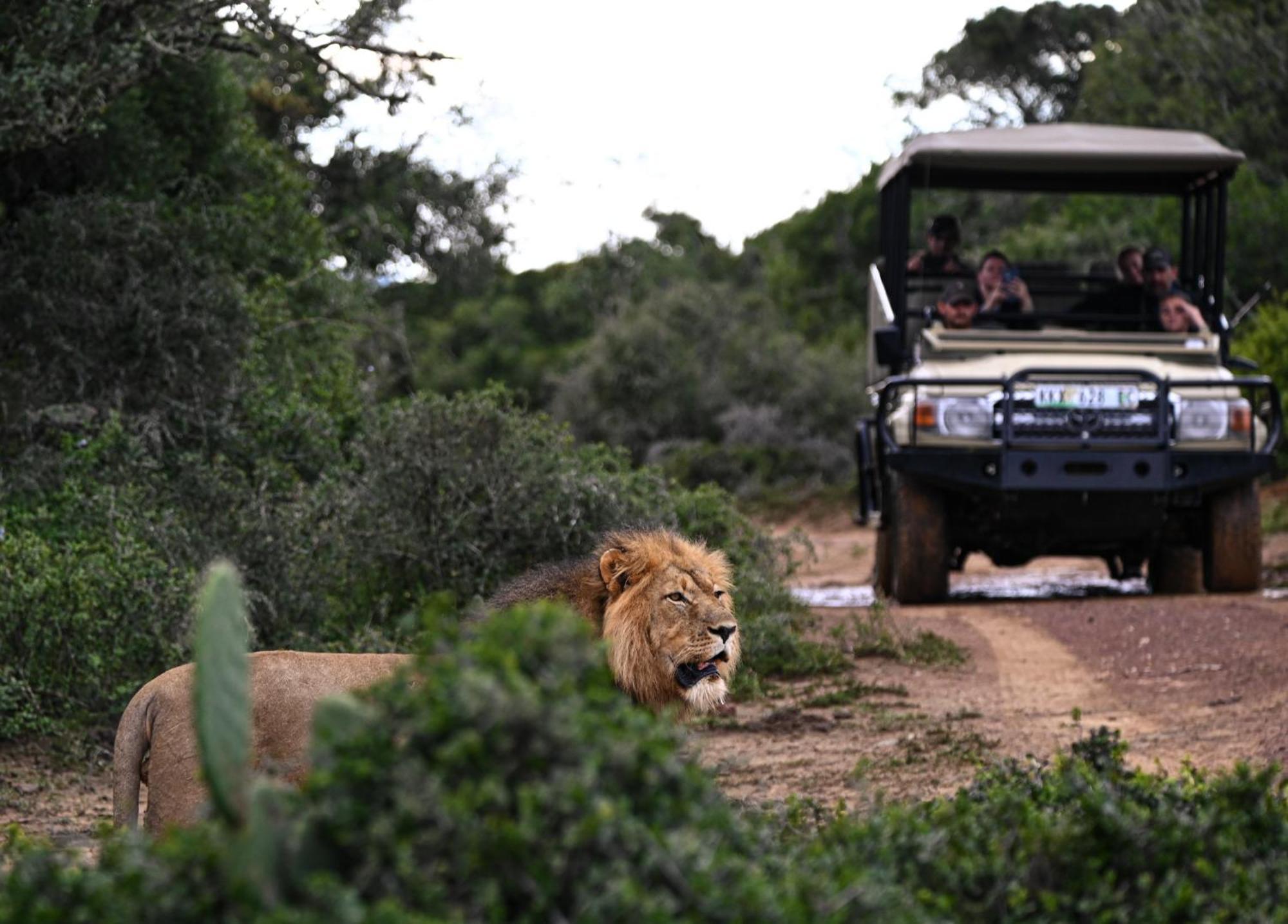 Addo Elephant Safari Lodge - Bellevue Forest Reserve Paterson Dış mekan fotoğraf