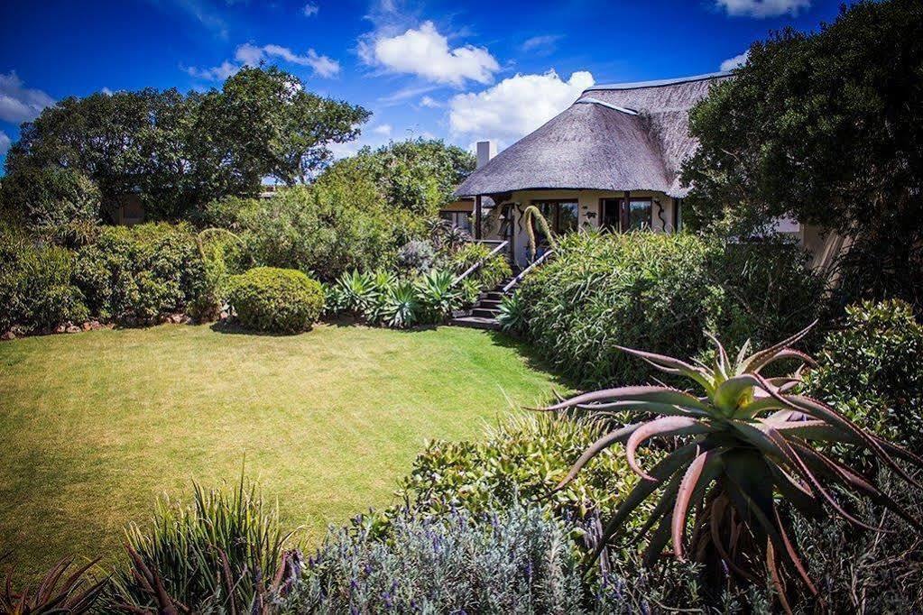 Addo Elephant Safari Lodge - Bellevue Forest Reserve Paterson Dış mekan fotoğraf