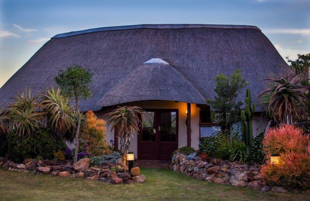 Addo Elephant Safari Lodge - Bellevue Forest Reserve Paterson Dış mekan fotoğraf
