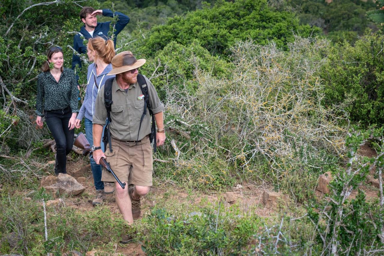 Addo Elephant Safari Lodge - Bellevue Forest Reserve Paterson Dış mekan fotoğraf
