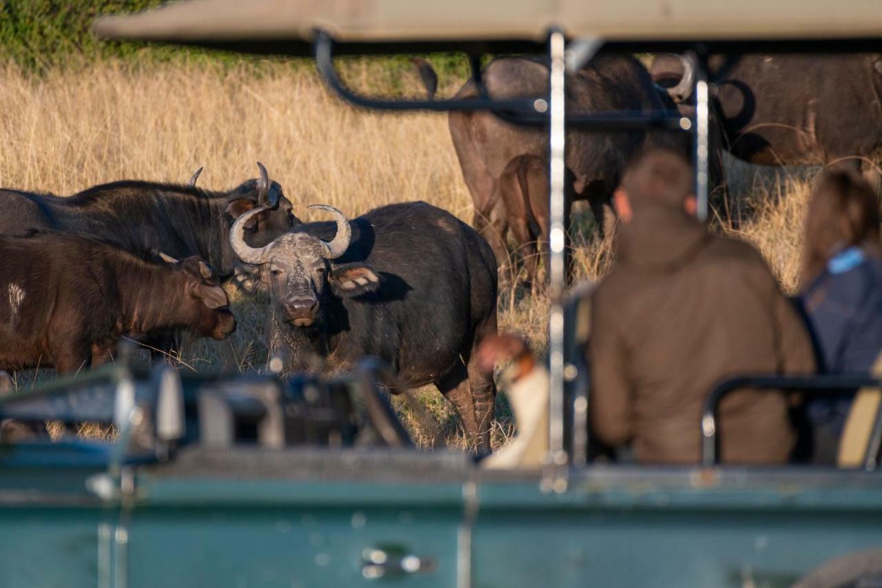 Addo Elephant Safari Lodge - Bellevue Forest Reserve Paterson Dış mekan fotoğraf