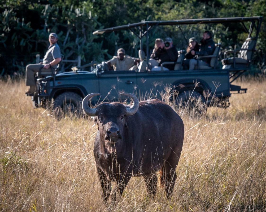 Addo Elephant Safari Lodge - Bellevue Forest Reserve Paterson Dış mekan fotoğraf